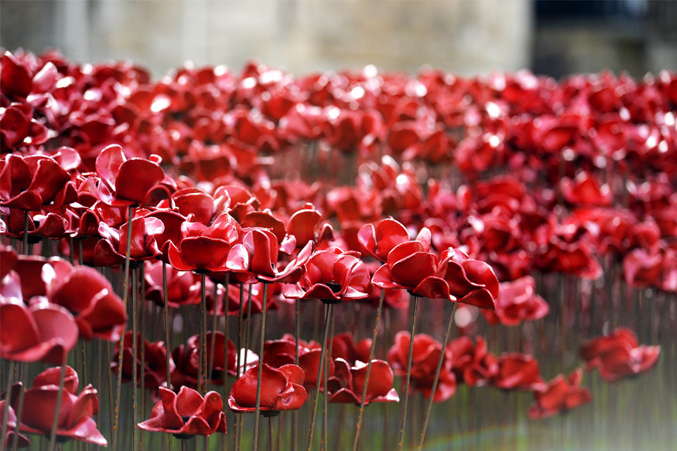Ceramic Poppies at the Tower of London